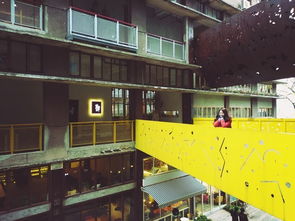 貳廠的文藝，你不懂 文藝創(chuàng)作的靈魂與誤解