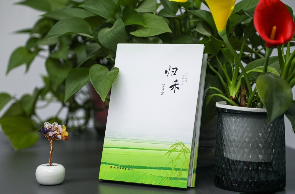 昭化區(qū)三百萬基金激勵(lì)創(chuàng)作 新政助力文藝精品繁榮